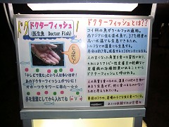 hN^[tBbV̐